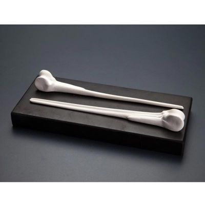 100% Chef Bone Skewer Şiş, 18 cm, 3 Adet - 1