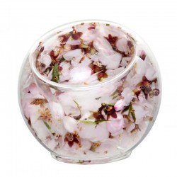 100% Chef Ice Cam Sunum Kasesi, 120 ml - 3