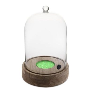 100% Chef Işıklı Kokteyl Tabanı, 21.5x32.2 cm - 1