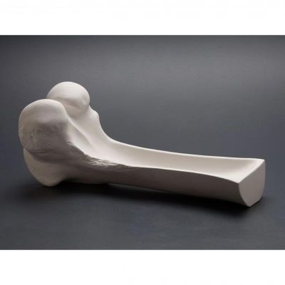100% Chef Kemik Porselen Sunum Tabağı, 25x10x10 cm - 2