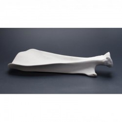100% Chef Shoulder Blade Porselen Sunum Tabağı, 33x20x6 cm - Thumbnail