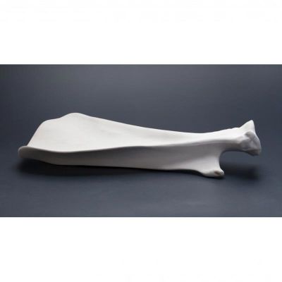 100% Chef Shoulder Blade Porselen Sunum Tabağı, 33x20x6 cm - 2