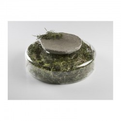 100% Chef Venus Advance Mermer Sunum Tabağı, 17cm - 2