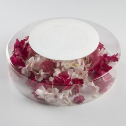 100% Chef Advance Glass Presentation Plate, 17 cm, White, 3 Pieces - 2