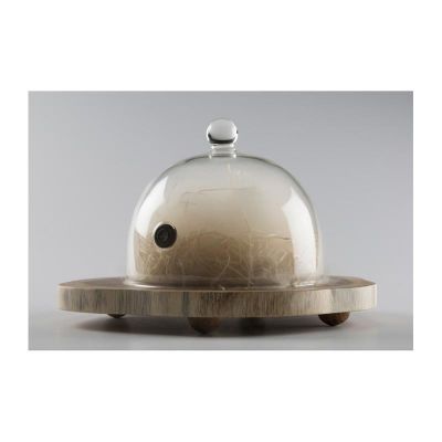 100% Chef Aladin Cover Valfli Cam Fanus, 18 cm - 2