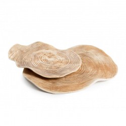 100% Chef Carpaccio Porcelain Presentation Plate, 27x21 cm, 3 Pieces - 100% Chef (1)