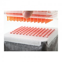 100% Chef Caviar Box, 16x12x6 cm - 100% Chef (1)