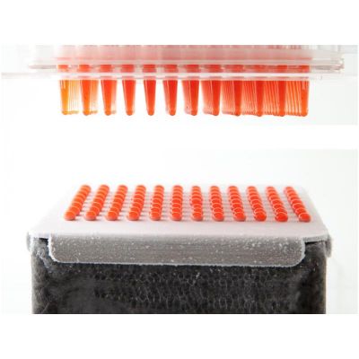 100% Chef Caviar Box, 16x12x6 cm - 100% Chef