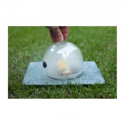 100% Chef Circus Sunum Paltformu, 25x23 cm - 3