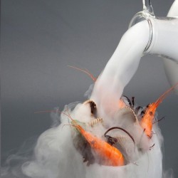 100% Chef Cold Smoke Jar, 11x25 cm - 6