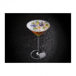 100% Chef Glass Martini Glass, 100 ml, 2 Pcs - 100% Chef (1)