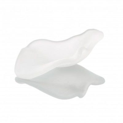 100% Chef Leaf Glass Presentation Spoon and Plate, 6 Pieces, White - 100% Chef