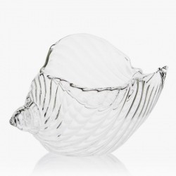 100% Chef Sea Shell Glass Mug, 250 ml - 100% Chef