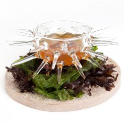 100% Chef Sea Urchin Glass Presentation Bowl, 125 ml - 3
