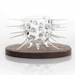 100% Chef Sea Urchin Glass Presentation Bowl, 150 ml - 1