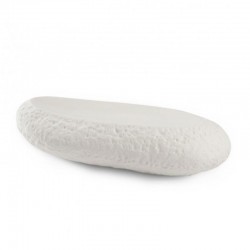 100% Chef Small Rock Porcelain Presentation Plate, 22x10x6 cm - 100% Chef