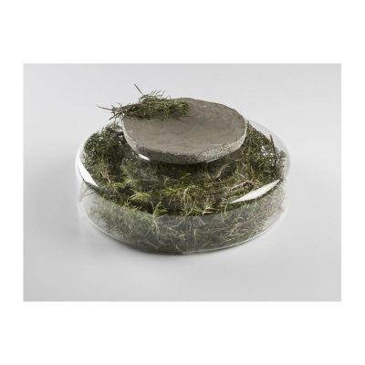 100% Chef Venus Advance Marble Presentation Plate, 17cm - 100% Chef