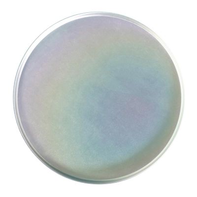 Almetal Alüminyum Pizza Tavası, 28 cm - Almetal