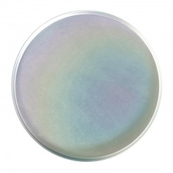 Almetal Alüminyum Pizza Tavası, 30 cm - Almetal (1)