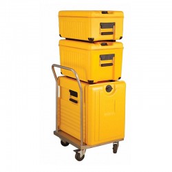 Avatherm Thermobox Trolley Transport Trolley, Handled, 50x55x90 cm - 2