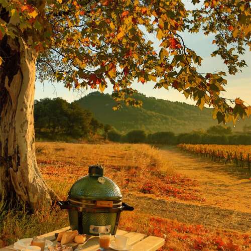 Big Green Egg شواية شواء مينيماكس، فحم، فحم - 5