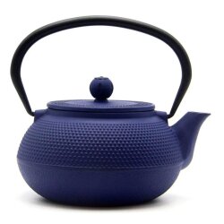 Biradlı Groovy GRV-TDM-300 Cast Iron Teapot, 300 ml, Blue - Biradlı