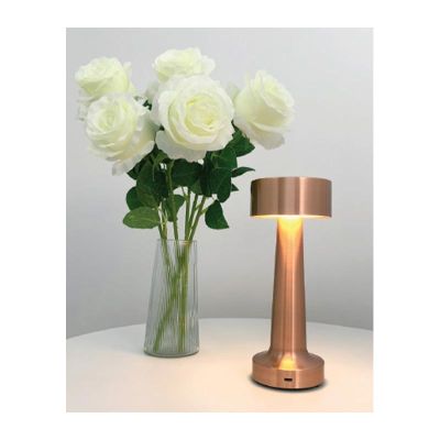 Biradlı GRV-810 Rechargeable Table Lamp, 9x21 cm, Copper - Biradlı