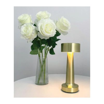 Biradlı GRV-810 مصباح طاولة قابل للشحن، 9 × 21 سم، ذهبي اللون - Biradlı