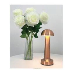 Biradlı GRV-811 مصباح طاولة قابل لإعادة الشحن، 9 × 21 سم، نحاسي - Biradlı (1)