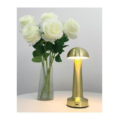 Biradlı GRV-811 مصباح طاولة قابل لإعادة الشحن، 9 × 21 سم، ذهبي اللون - Biradlı