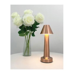 Biradlı GRV-812 مصباح طاولة قابل لإعادة الشحن، 9 × 22 سم، نحاسي - Biradlı (1)