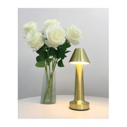 Biradlı GRV-812 Настольная лампа аккумуляторная, 9x22 см, золото - 2