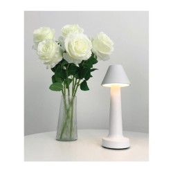 Biradlı GRV-812 Rechargeable Table Lamp, 9x22 cm, White - Biradlı (1)