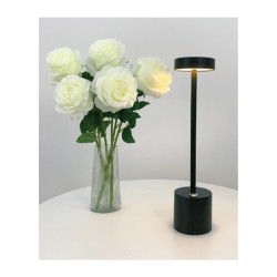 Biradlı GRV-813 مصباح طاولة قابل للشحن، 8 × 35 سم، أسود - 2