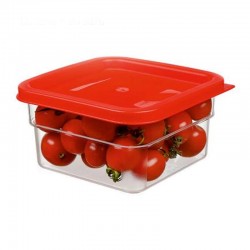 Bora Plastik Food Storage Container with Lid, Polycarbonate, 2 L - Bora Plastik