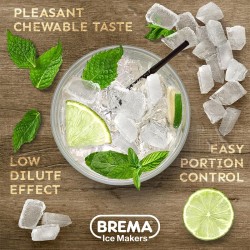 Brema TM 450 ماكينة تصنيع الثلج الحبيبي بدون قادوس، سعة 440 كجم/يوميًا - 3