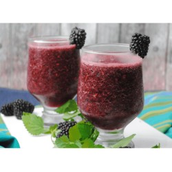 Buzzini Концентрат для приготовления ледяного слякотного напитка со вкусом ежевики, 8 кг - 4