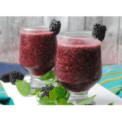 Buzzini Karadut Aromalı Buzlu İçecek Ice Slush Konsantresi, 8 Kg - 4