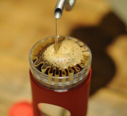 Cafflano Go-Brew Kahve Demleme Şişesi, Krem - Thumbnail