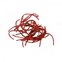 Robot Coupe Rendeleyici Disk, 2 mm - Robot Coupe (1)