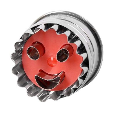 Dr. Oetker 1499 Kurabiye Şekillendirici Pres, 5 cm - 2