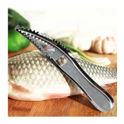 Epinox BPS-19 Balık Pulu Temizleyici, 19 cm - 3
