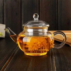 Epinox CD-250 Glass Teapot, 250 ml - 3