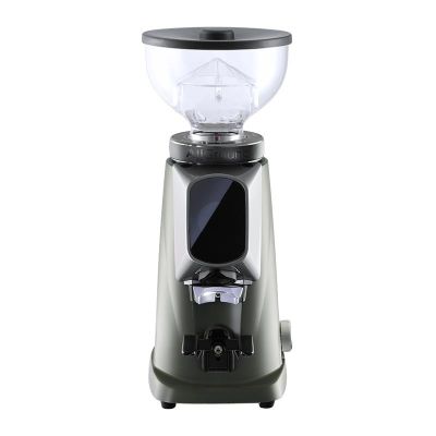 Fiorenzato AllGround Coffee Grinder, Sage & Satin Metallic Silver - Fiorenzato