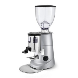 Fiorenzato F5 GA Coffee Grinder, Grey 