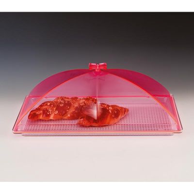 Zicco ZCP-375 Polikarbon Tepsili Akrilik Kapaklı Muhafaza Kabı, 35x55 cm, Pembe - 1