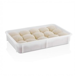 GastroPlast GPHPE-100 Polietilen Pizza Hamur Teknesi, 400x600x100 mm - 1