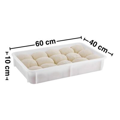 GastroPlast GPHPE-100 Polietilen Pizza Hamur Teknesi, 400x600x100 mm - GastroPlast