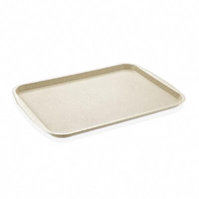 GastroPlast GT-3646 ABS Servis Tepsisi, 36x46 cm, Krem - 1