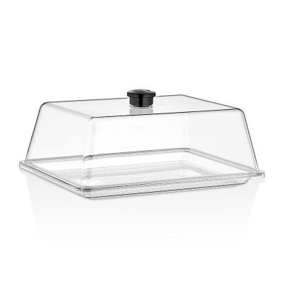 GastroPlast Polikarbon Fanus Tepsisi, 20x26 cm, Şeffaf - 2